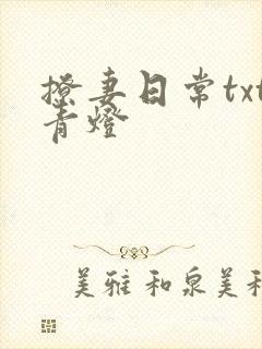 撩妻日常txt青灯