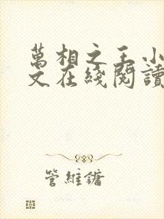 万相之王小说全文在线阅读封面