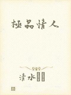 极品情人封面