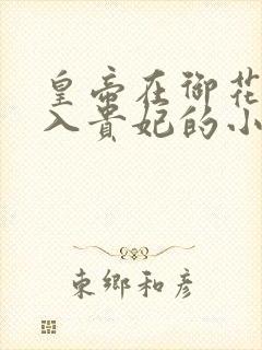 皇帝在御花园进入贵妃的小说