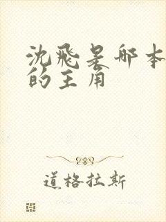 沈飞是哪本小说的主角封面