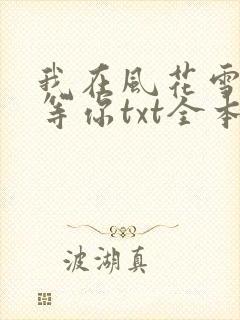 我在风花雪月里等你txt全本封面