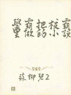 学霸把校霸往死里做的小说