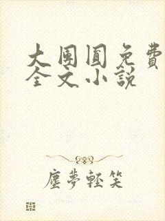 大团圆免费阅读全文小说