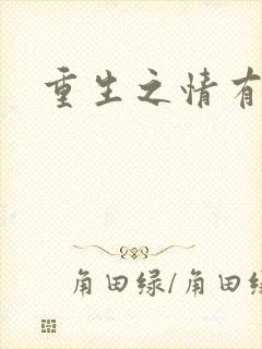 重生之情有独钟封面
