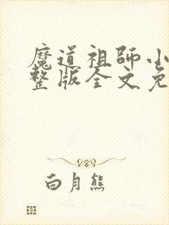 魔道祖师小说完整版全文免费阅读封面