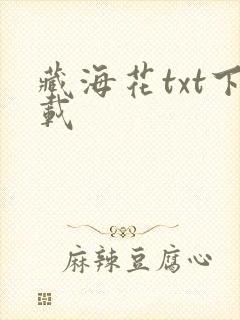 藏海花txt下载