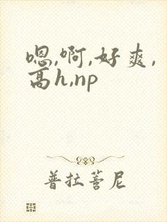 嗯,啊,好爽,高h,np
