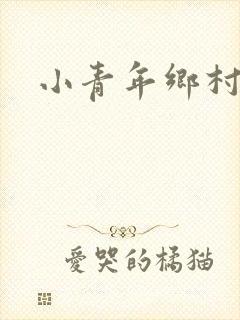 小青年乡村猎艳