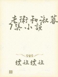 老卫和淑蓉1一7集小说