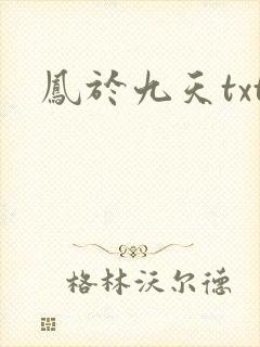 凤于九天txt