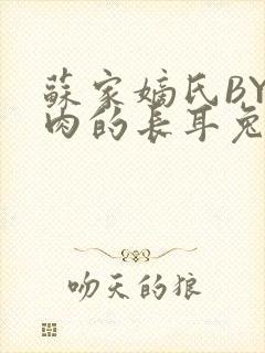 苏家嫡氏BY吃肉的长耳兔