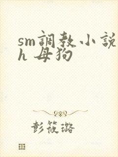 sm调教小说高h 母狗
