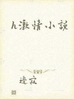 h激情小说封面