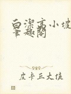白洁高小坡高义笔趣阁封面
