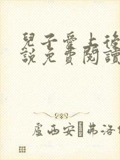 儿子爱上后妈小说免费阅读封面