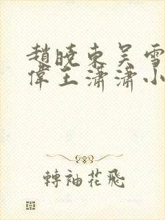 赵晓东吴雪晴郑伟王潇潇小说封面