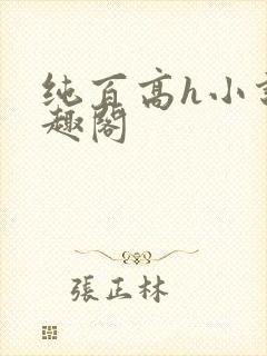 纯百高h小说笔趣阁