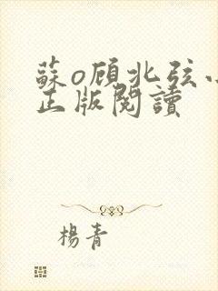 苏o顾北弦小说正版阅读