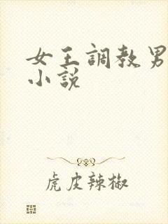 女王调教男性奴小说封面