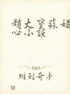赵大宝苏媚海之心小说