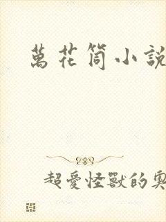 万花筒小说封面