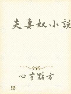 夫妻奴小说