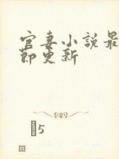 官妻小说最新章节更新封面