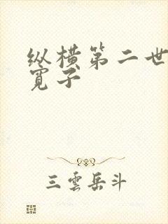 纵横第二世界 宽子