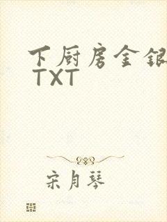 下厨房金银花露 TXT封面