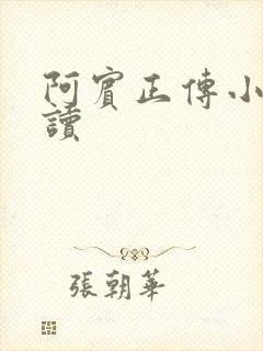 阿宾正传小说在读封面
