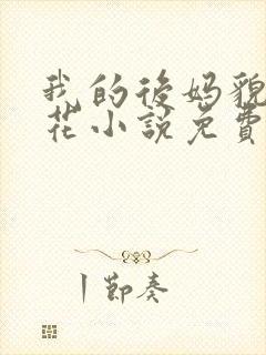 我的后妈貌美如花小说免费阅读全文无弹窗封面