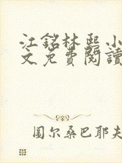 江铭林熙小说全文免费阅读