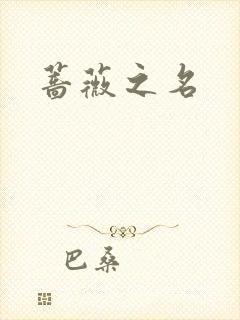 蔷薇之名封面