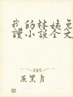 我的林姨免费阅读小说全文