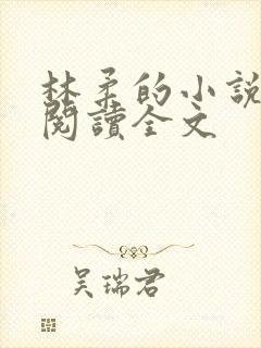 林柔的小说在线阅读全文