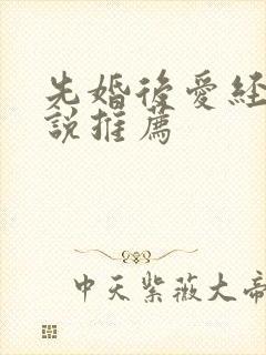 先婚后爱经典小说推荐
