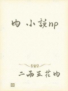 肉 小说np