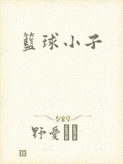 篮球小子