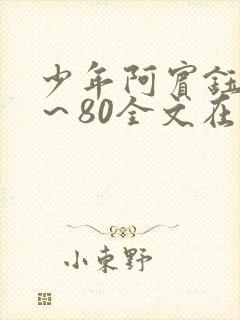 少年阿宾钰慧1～80全文在线阅读封面