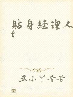 贴身经理人txt