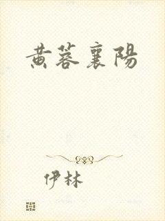黄蓉襄阳封面