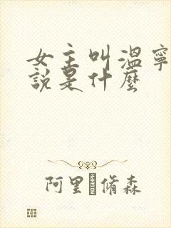女主叫温宁的小说是什么