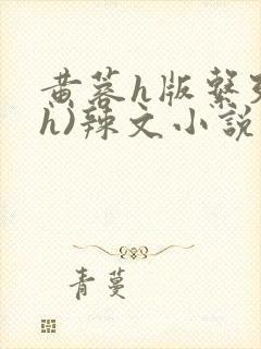 黄蓉h版系列(h)辣文小说封面