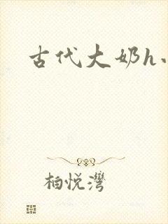 古代大奶h小说封面