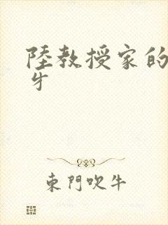 陆教授家的小月牙