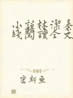小说林洁秦齐在线阅读全文