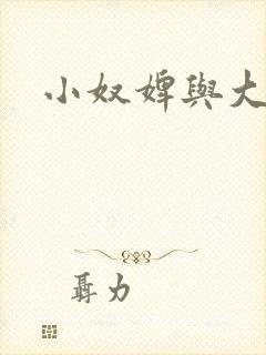 小奴婢与大少爷