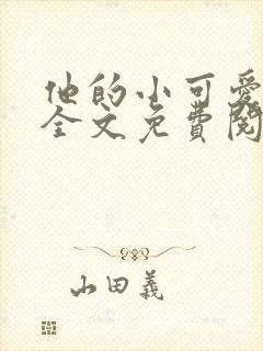 他的小可爱小说全文免费阅读
