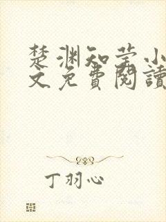 楚渊知莹小说全文免费阅读封面
